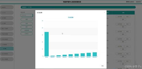 基于SpringBoot與Vue的母嬰護(hù)理中心信息管理系統(tǒng)設(shè)計(jì)與實(shí)現(xiàn)
